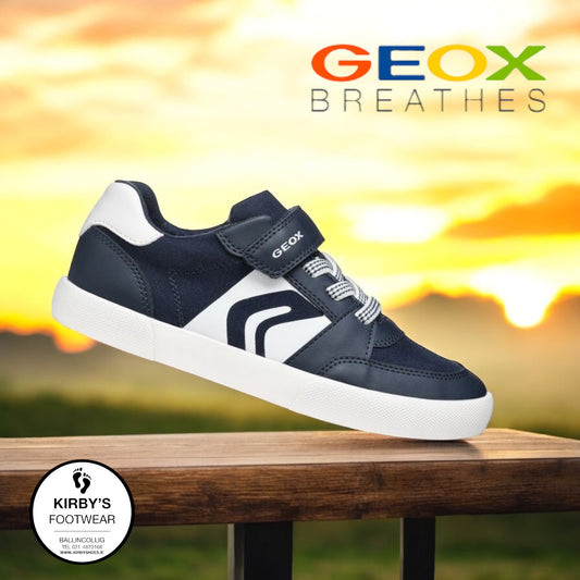 Geox Gisli navy white canvas